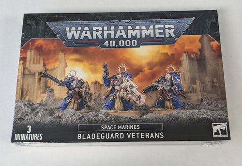 Warhammer 40k Space Marines Bladeguard Veterans
