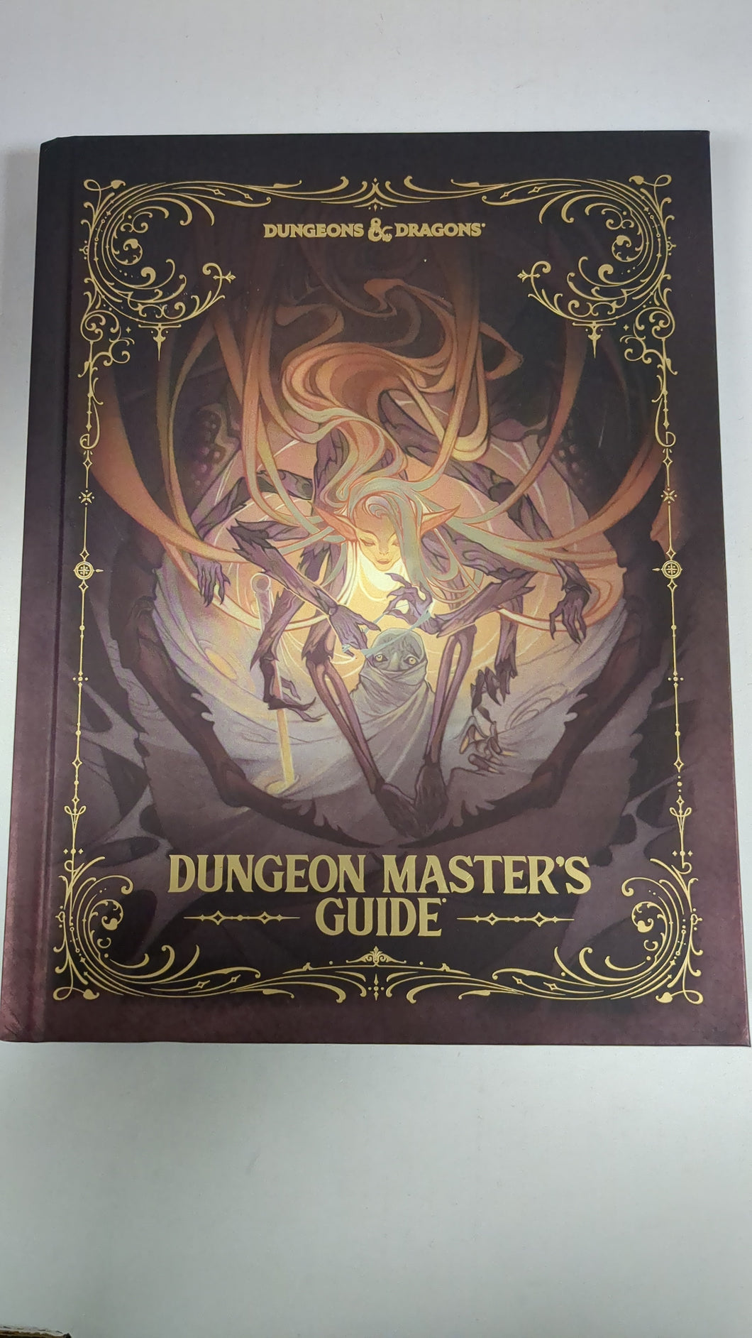 Dungeon Master's guide