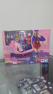 Spider-man Across the spider-verse action figure