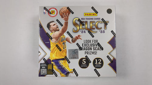 2024-25 Panini Select Basketball Internation Hobby Box